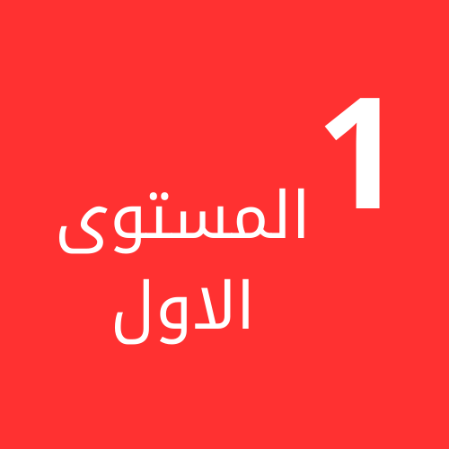 المستوى الاول ف1